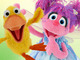 bird family song